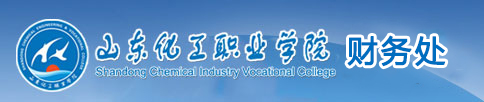 山东化工职业学院-财务与审计处